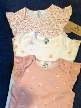 Wonderluxe Baby Girls Pink Floral Ruffle Bodysuit Set